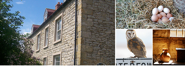 Little Edstone farm and cottages