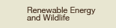 Renewable Energy