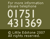 Telephone 01751 431369